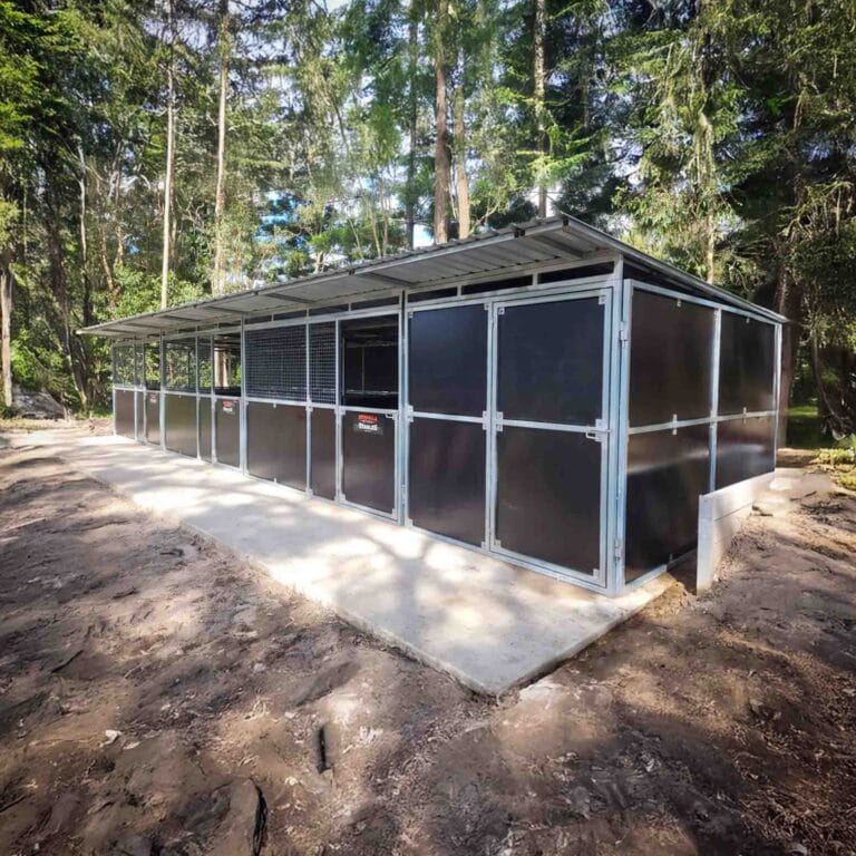 rear corner view of heavy duty steel horse stable with enclosed tack room and mesh stall fronts
