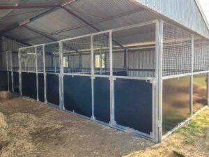three bay modular horse stable system fixed to shed wall with ply and mesh panels
