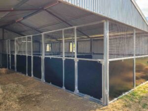 modular indoor horse stables with 4x4 stalls ply kickboards and mesh upper panels