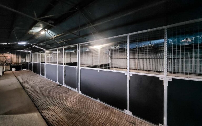 4-Bay Indoor Stable